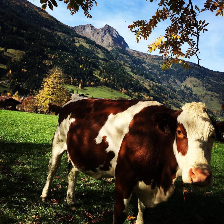 Chalet Franzi - Das Family-Ferienhaus Mit Gratiseintritt Ins Solarbad Dorfgastein Luaran gambar