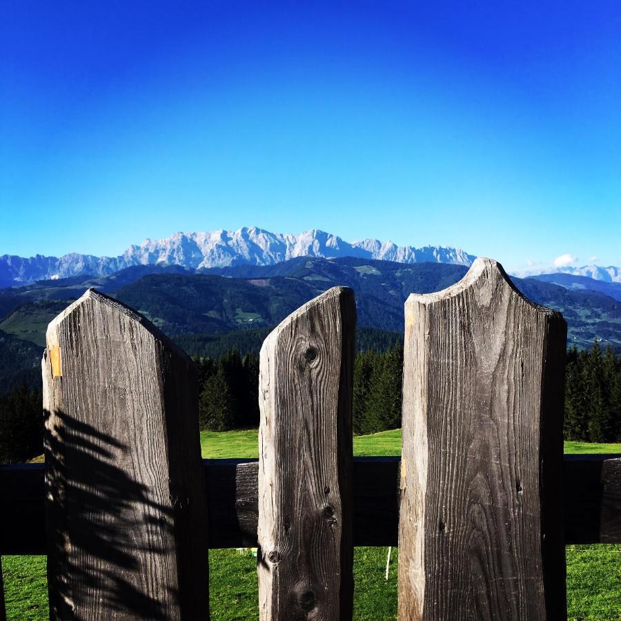 Chalet Franzi - Das Family-Ferienhaus Mit Gratiseintritt Ins Solarbad Dorfgastein Luaran gambar