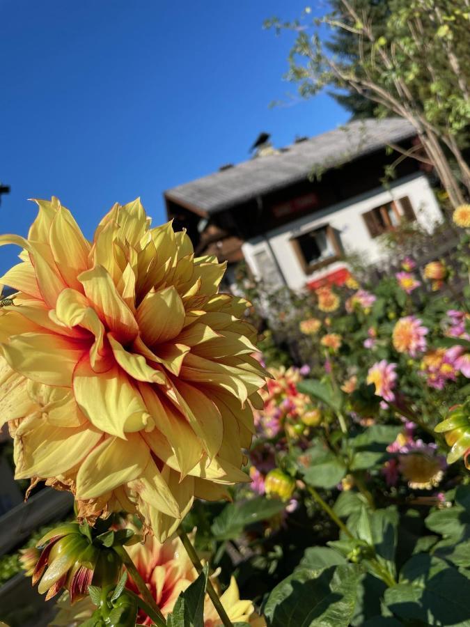 Chalet Franzi - Das Family-Ferienhaus Mit Gratiseintritt Ins Solarbad Dorfgastein Luaran gambar