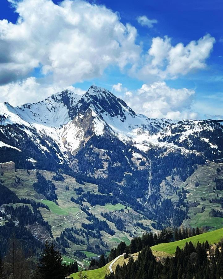 Chalet Franzi - Das Family-Ferienhaus Mit Gratiseintritt Ins Solarbad Dorfgastein Luaran gambar